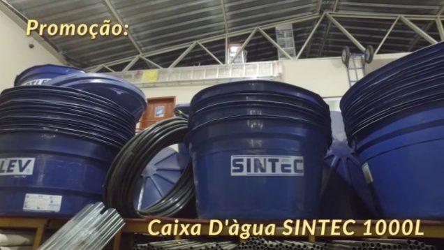 Guia Delean