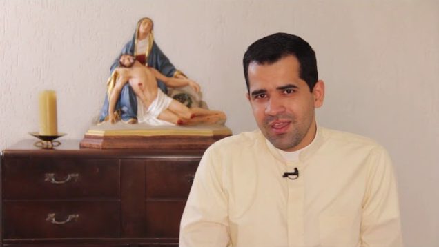 Homilia Diária 11 de novembro de  2019