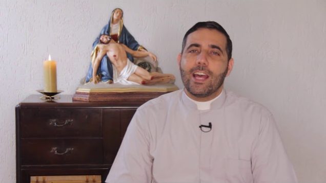 Homilia Diária 17 de novembro de  2019