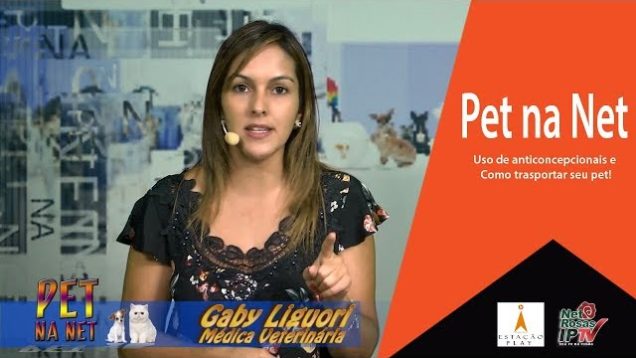 Pet na Net  Anticoncepcionais e Transporte de Pets