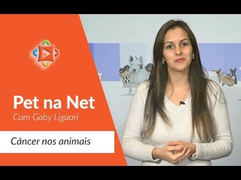 Pet Na NET  com Gaby Liguori – Câncer