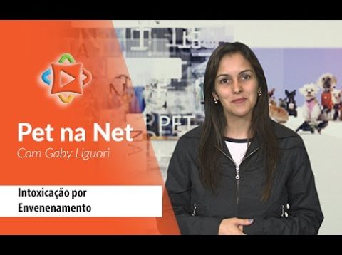 Pet na Net – Intoxicação por Envenenamento