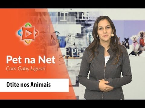 Pet na Net – Otite nos Animais