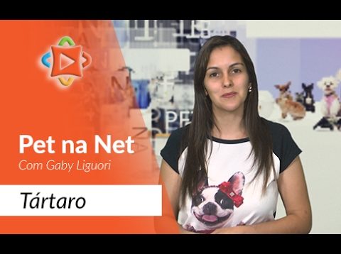 Pet na net tartaro