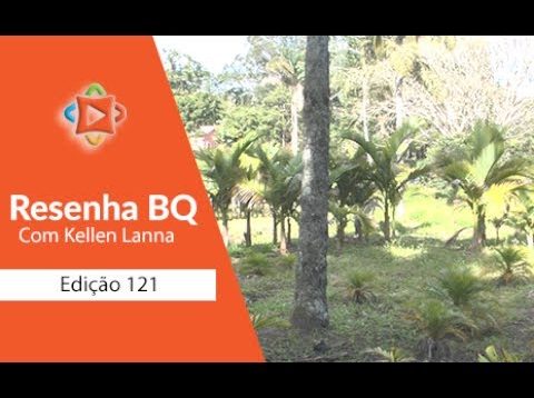 Resenha BQ 121