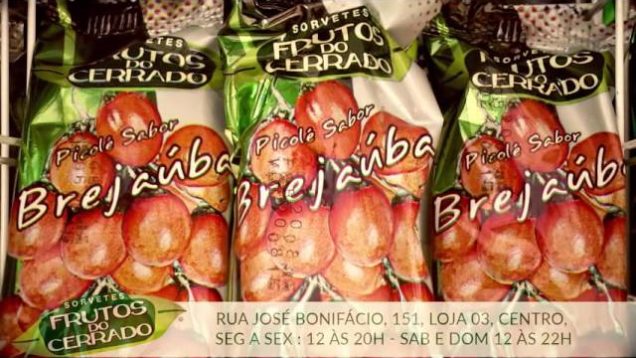Sorveteria Frutos do Cerrado