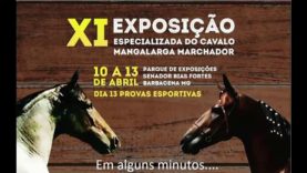 XI Exposição do cavalo Mangalarga Marchador